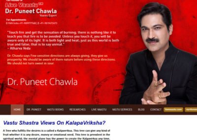 SEO, PPC, SMO, Youtube